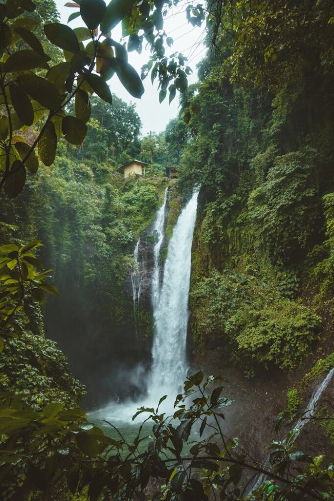 Landscape Photography of Waterfalls Surrounded by Green Leafed Plants